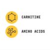 Detalle del polvo de L-Carnitina Beyond Raw para suplemento deportivo