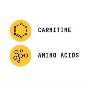 Detalle del polvo de L-Carnitina Beyond Raw para suplemento deportivo