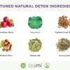 Preparado de té detox colon Teami antes de dormir para limpieza