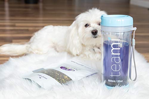 Bienestar y vitalidad con té detox natural y orgánico Teami