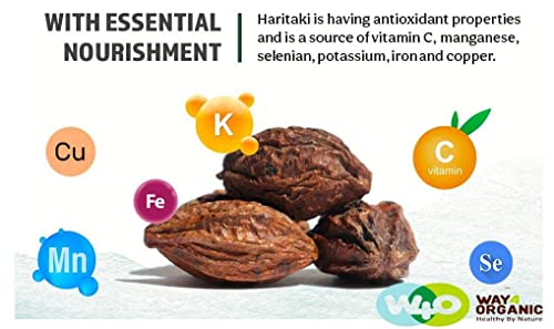 Haritaki cápsulas planta base sin aditivos ni alérgenos