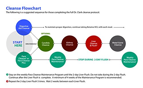 Dr Clark Store productos de limpieza antifúngica Candida