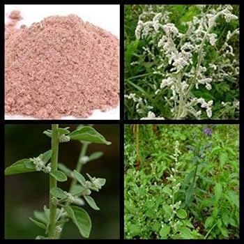 Polvo herbal yamkay información y beneficios