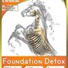 Bolsa Foundation Detox para equinos 7 lb