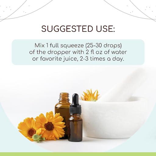 Frasco de tinta herbal detox sin alcohol HerbEra