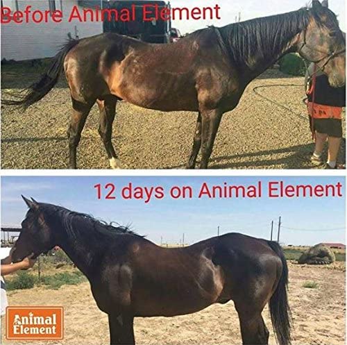 Suplemento Foundation Detox para caballo Animal Element 25 libras