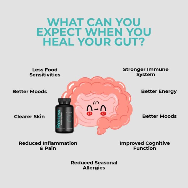 CorVive Renew Cleanse cápsulas suplemento sin sabor