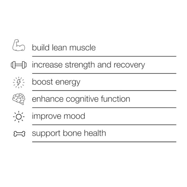 Pila de creatina y MSM producto para mejor función muscular y cerebral