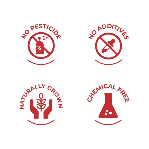 Cápsulas SAPTAMVEDA Kutki 60 unidades empaque