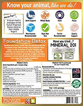 Detalle etiqueta Foundation Detox Animal Element