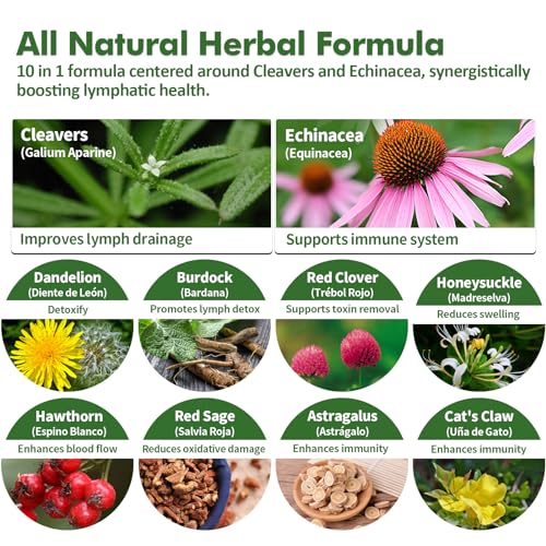 Instrucciones uso gotas drenaje linfático Nurbetoxa Instrucciones uso gotas drenaje linfático Nurbetoxa