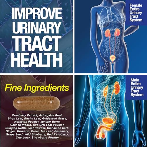 Suplemento Saint Mingiano con ingredientes naturales para salud urinaria