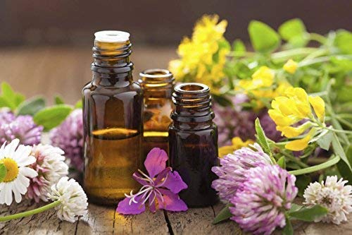 Suplemento herbal Cedar Bear vegano y orgánico para flora intestinal