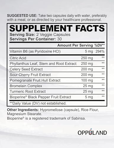 Detox ácido úrico características