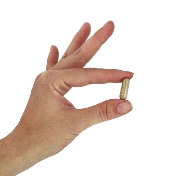 Extractos herbales en cápsulas vegetales NOW Foods Water Out