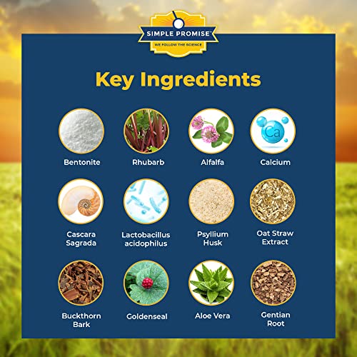 Simple Promise Duo de Bienestar Digestivo detalle