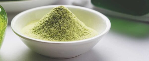 Gel musgo irlandés orgánico para mejor digestión y energía