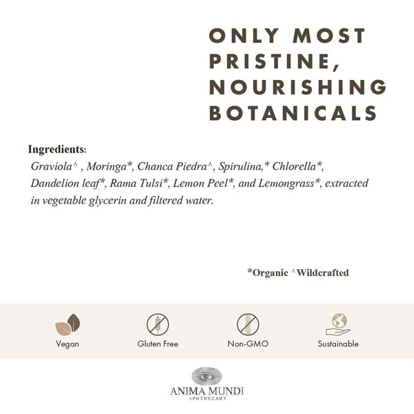 Ingredientes de hierbas como chanca piedra y albahaca santa para detox