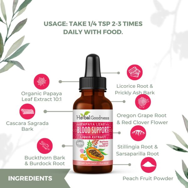 Suplemento natural hoja de papaya sangre y metabolismo