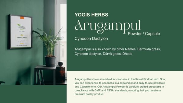 Paquete polvo 8 onzas Arugampul herbal puro para bienestar general