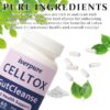Megacephalus Celltox Gut Cleanse etiqueta trasera