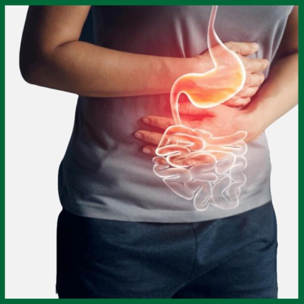 Suplemento ayurvédico vedikroots tableta para salud de riñón y corazón