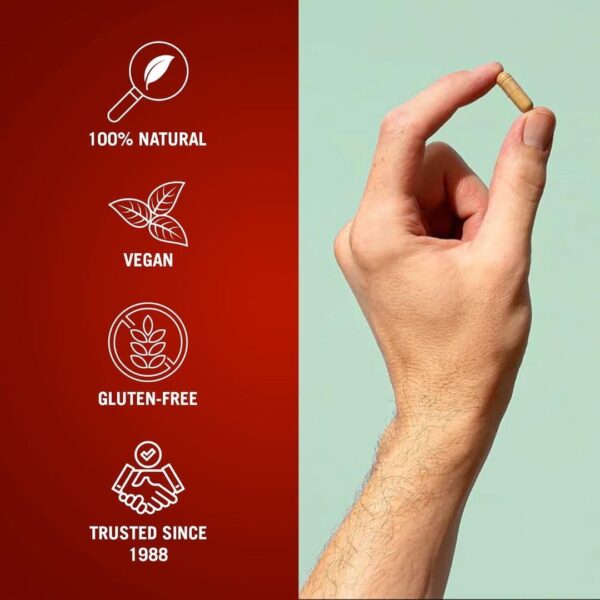 Desintoxicación para digestión sana The Cleaner 7 días