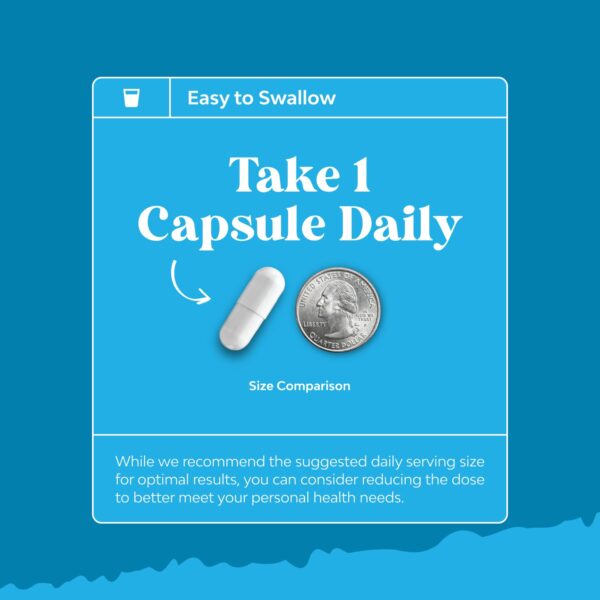 Suplemento NAC para salud cerebral y memoria mejorada