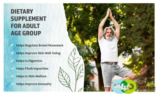 Tabletas Haritaki fácil digestión suplemento saludable