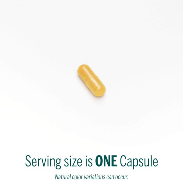 ingredientes cardo mariano cúrcuma colina beneficios