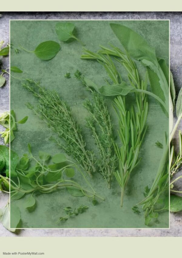 Vapor Yoni Eden's bolsa 2oz para detox y cuidado femenino