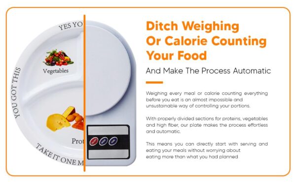 Universal Body Labs plato con divisiones para comida