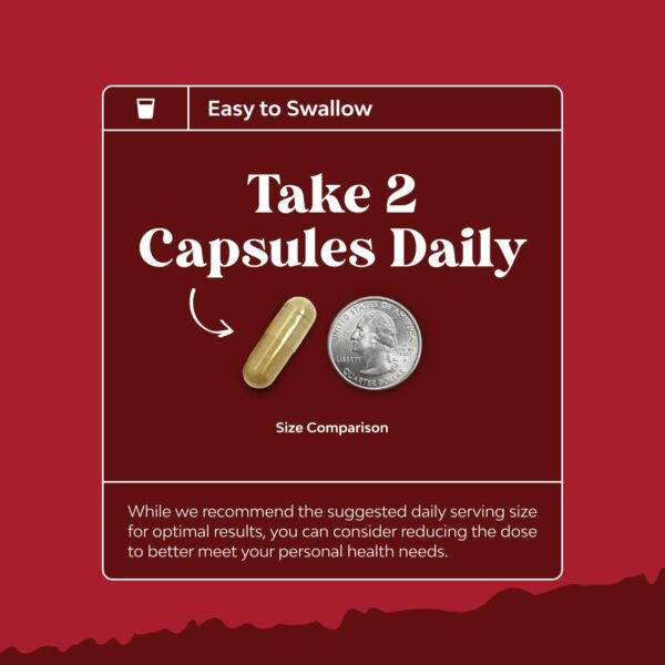 Suplemento diario para limpieza y reparación hepática y renal