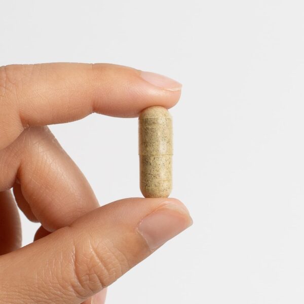 Cápsulas detox pulmonar Food Over Drugs calidad orgánica