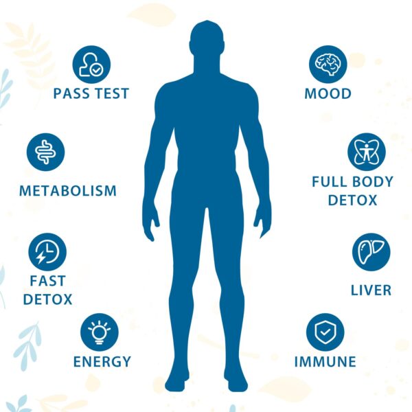 Paquete 120 cápsulas detox natural Verdanthus fórmula 31 en 1