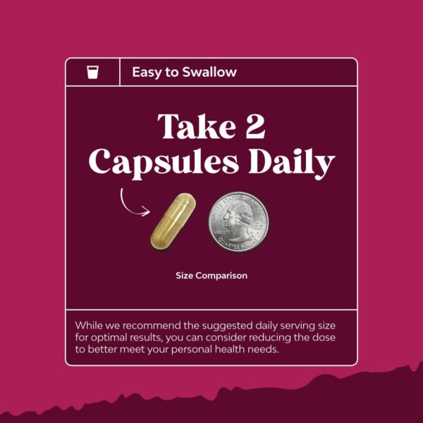 Suplemento de energía con vinagre sidra de manzana ACV