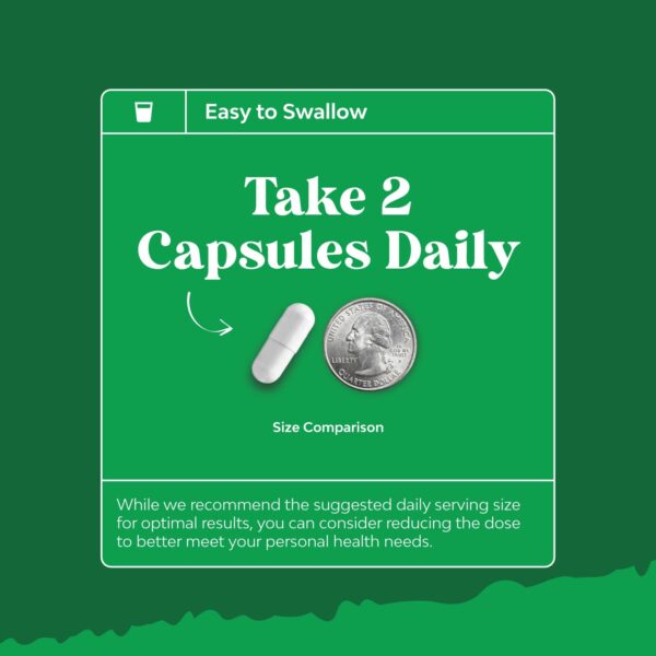 Suplemento TUDCA apoyo memoria y función cerebral