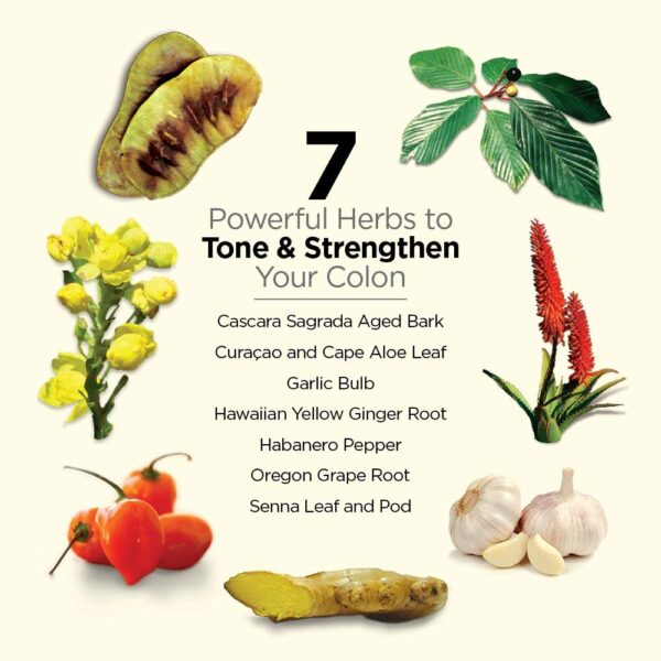 Spray Air Detox Dr Schulze para limpieza intestinal potente