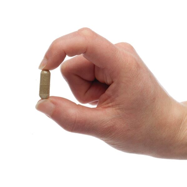 Cápsulas ColoFlush de Native Remedies para salud digestiva