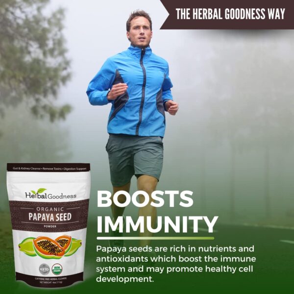 Polvo natural semillas papaya con papaína para limpieza y bienestar intestinal