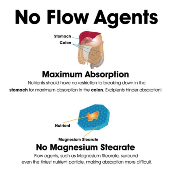 Limpieza Candida soporte flora intestinal Dr Clark Store