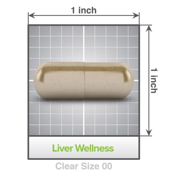Cápsulas vegetales Liv D-Tox para detox y apoyo hepático