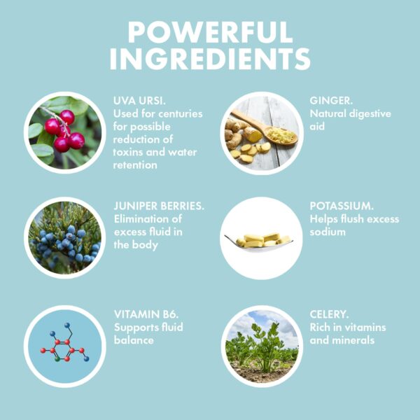 Ingredientes naturales cápsulas Yes You Can! diuréticas