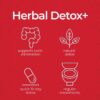 Health Plus Herbal Detox+ caja trasera