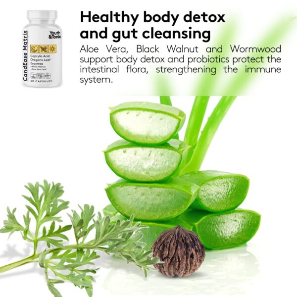 Ingredientes naturales Youth & Tonic suplemento balance digestivo