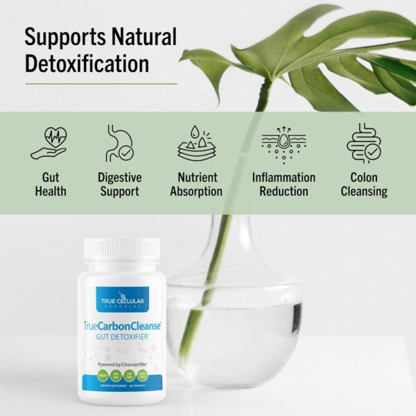 Cápsulas de carbón activado de bambú para desintoxicación intestinal