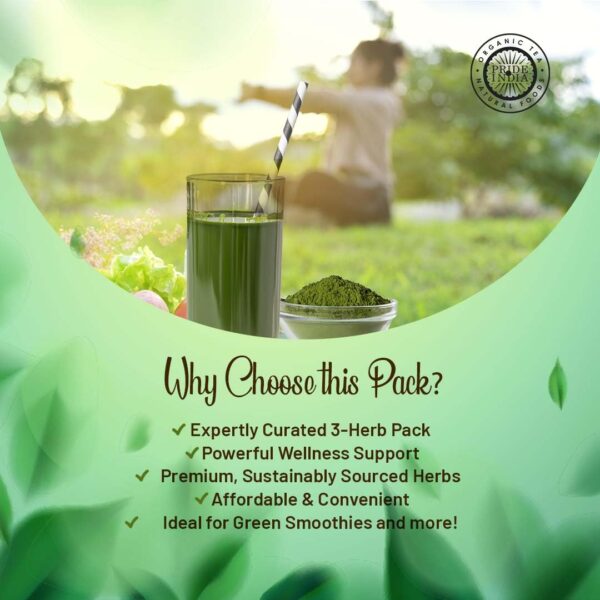 Polvo senna para apoyo digestivo y detox