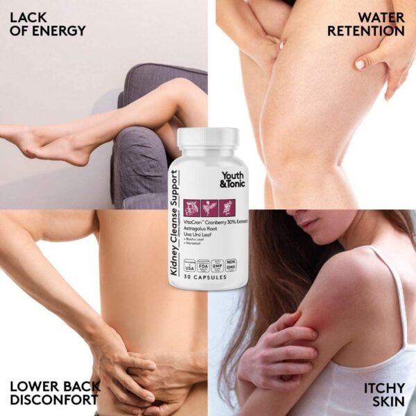 Ingredientes naturales para detox colon y riñón