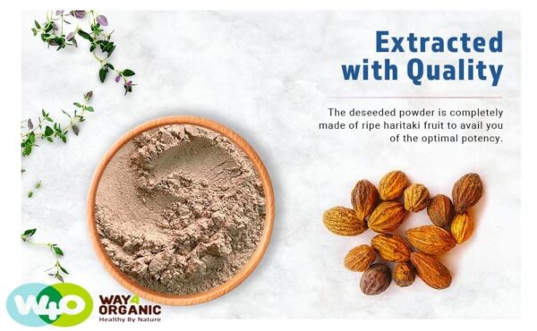 Haritaki-polvo-ayurveda-detalle-paquete-Way4Organic