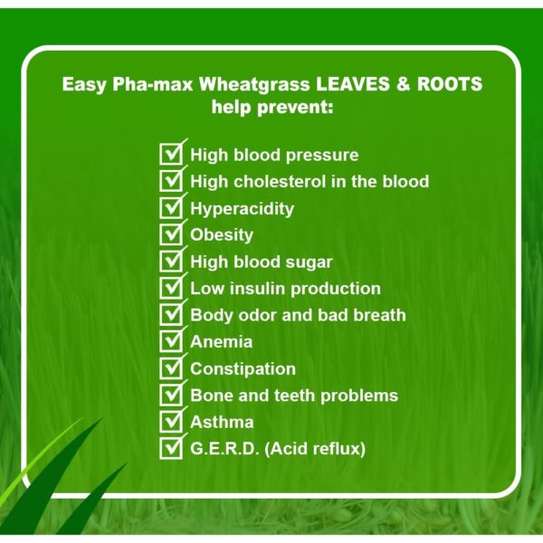 Lata suplemento polvo de trigo verde y miel easy pha-max